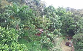 Cabana En La Montana